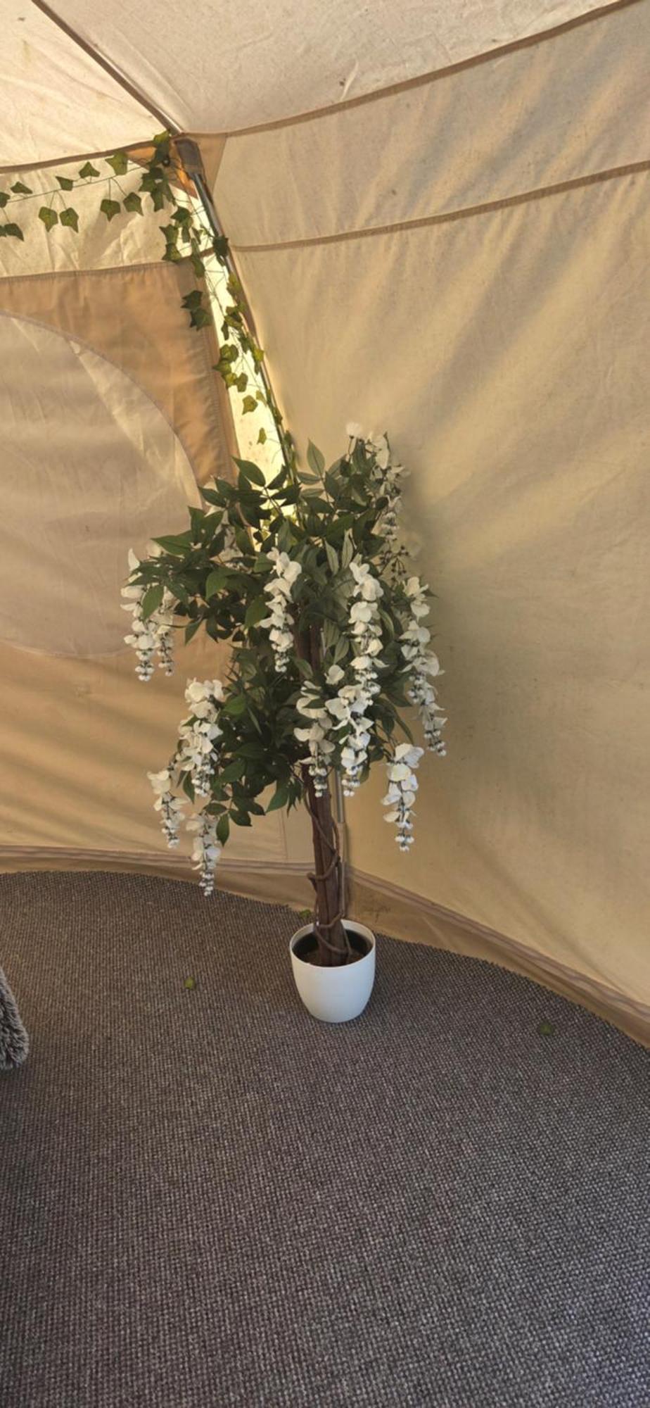 Glamping In Dromineer Ξενοδοχείο Εξωτερικό φωτογραφία